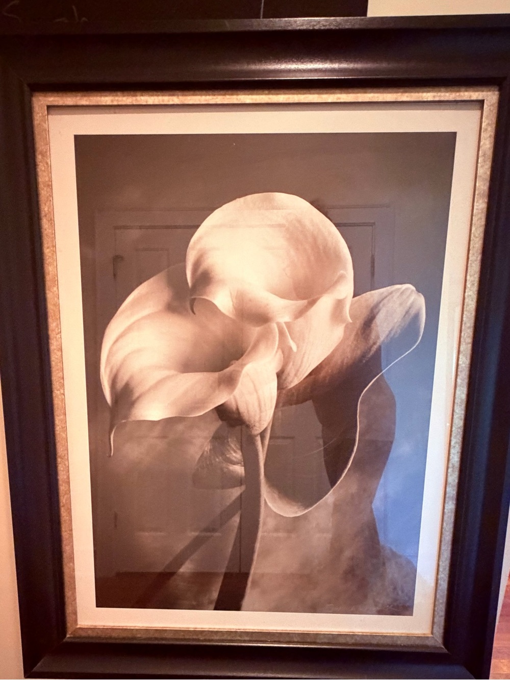 Sepia Calla Lily Wall Art Print - Neutral Tones